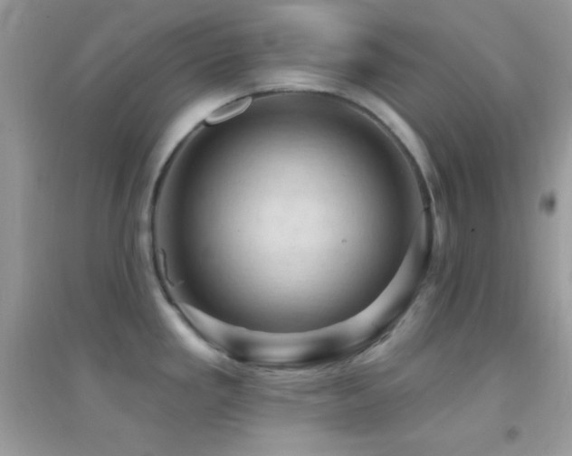 X0000095111293200712071208