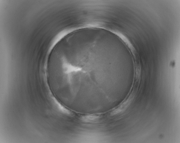 X0000095111294200712071208