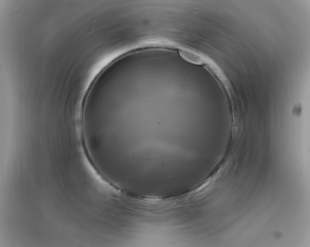 X0000095111295200712071208