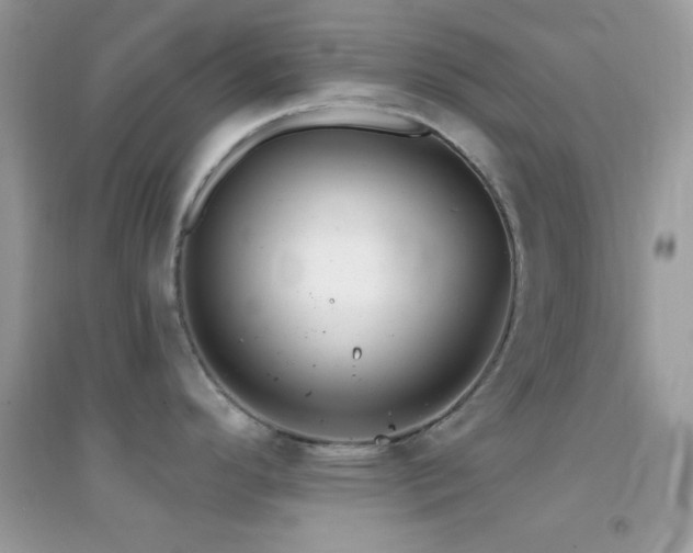 X0000095111296200712071208