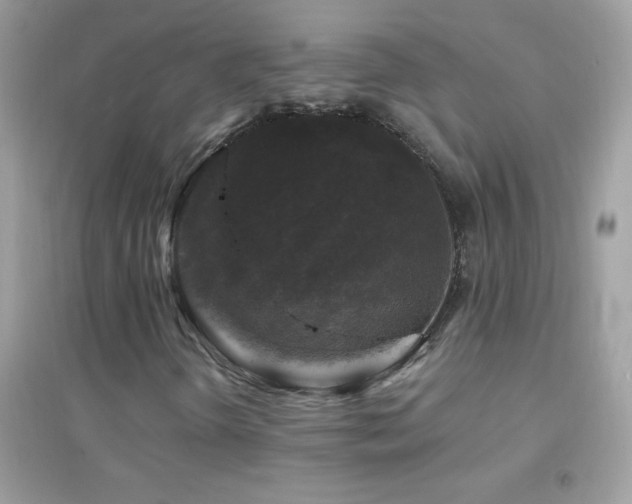 X0000095111298200712071207