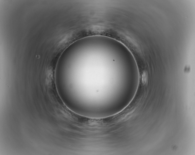 X0000095111299200712071207
