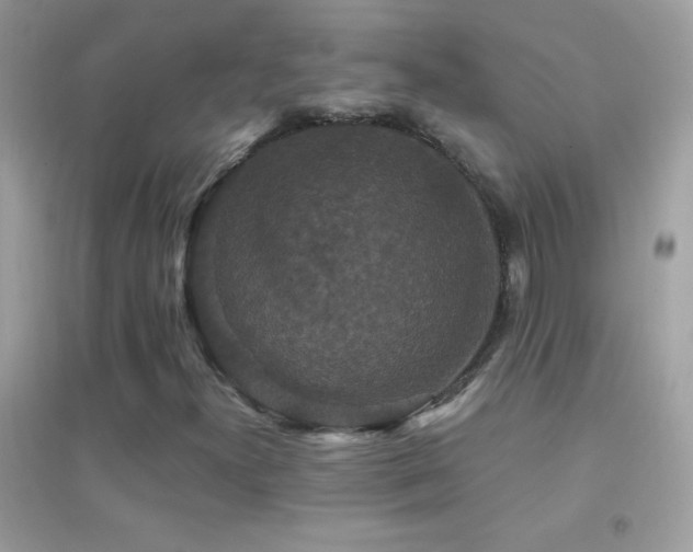 X0000095111300200712071207