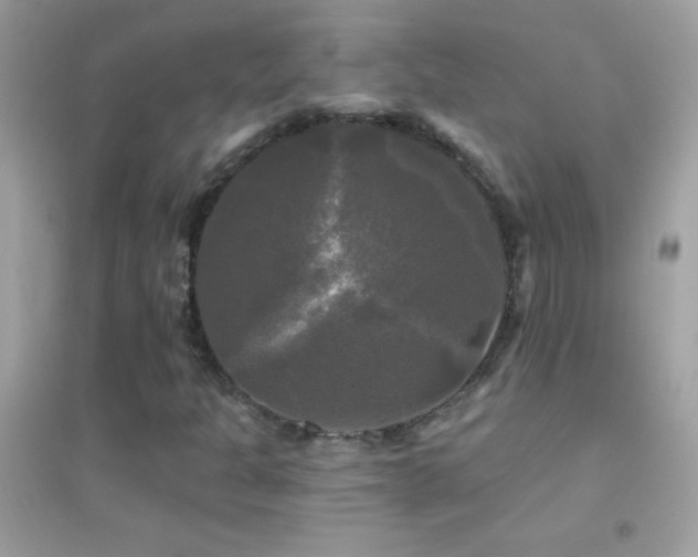 X0000095111301200712071208