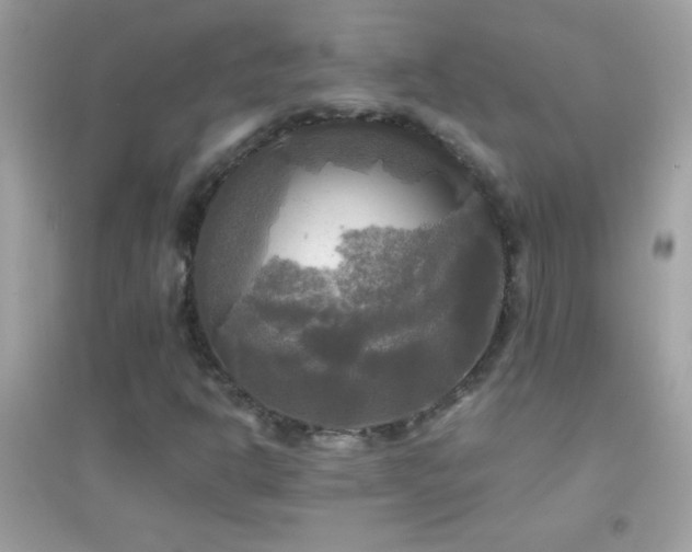 X0000095111302200712071208
