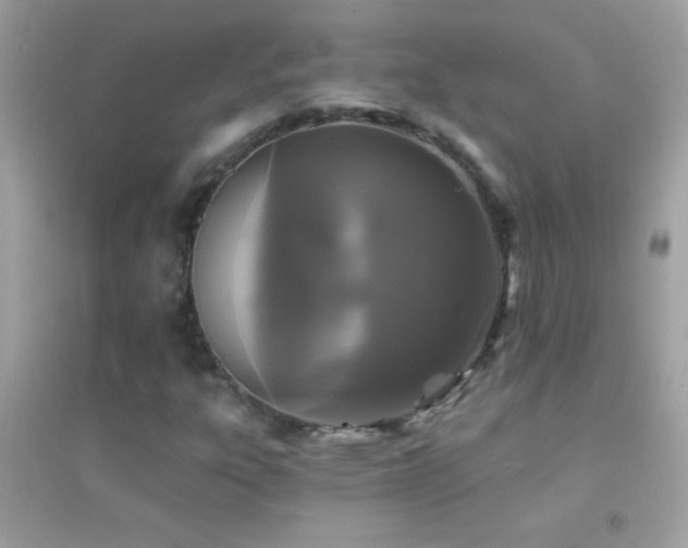 X0000095111303200712071208