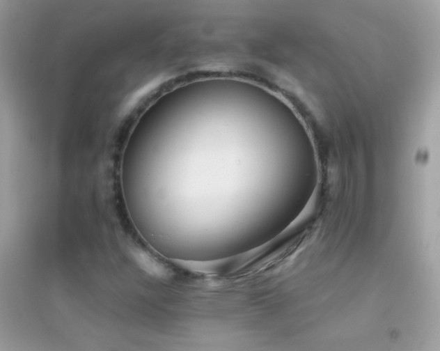 X0000095111304200712071208