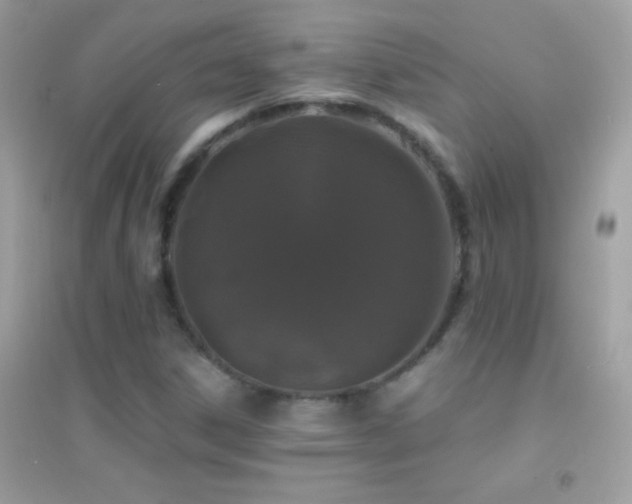 X0000095111306200712071208