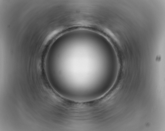 X0000095111307200712071208