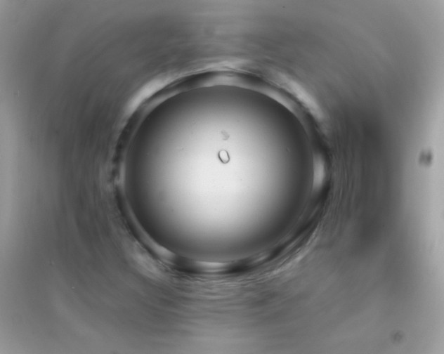 X0000095111308200712071208