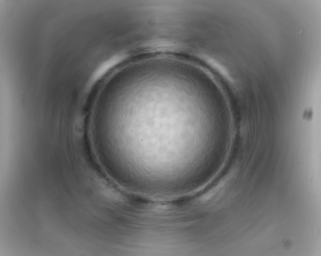 X0000095111309200712071208