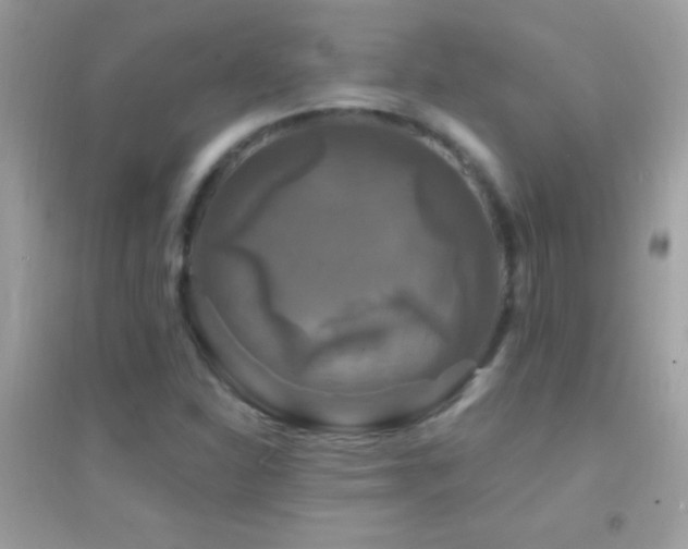 X0000095111310200712071208