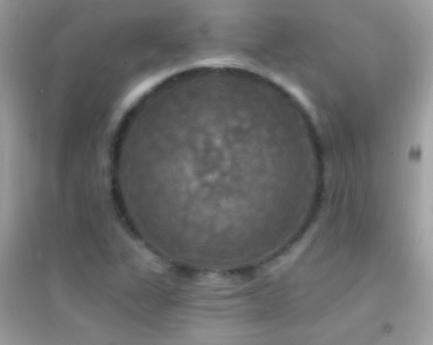 X0000095111311200712071208
