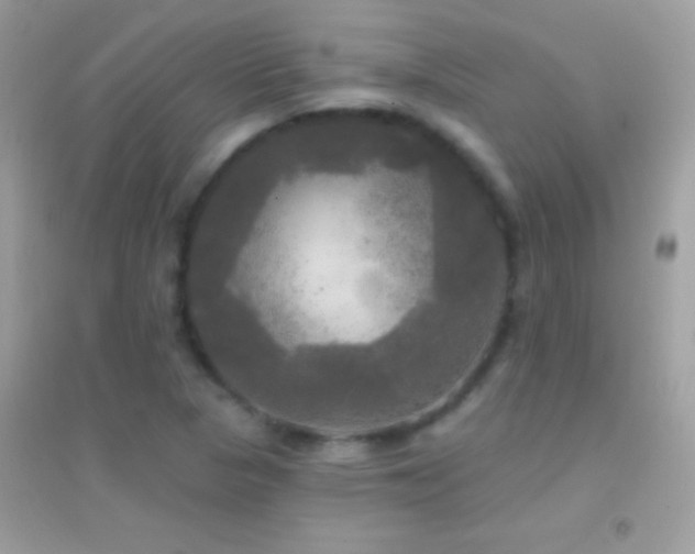 X0000095111313200712071208