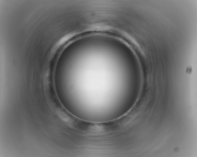 X0000095111315200712071208
