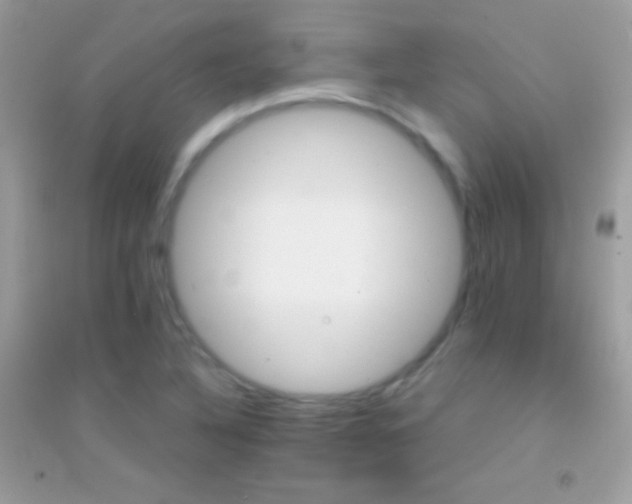 X0000095111316200712071208