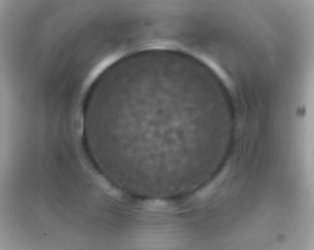 X0000095111317200712071208