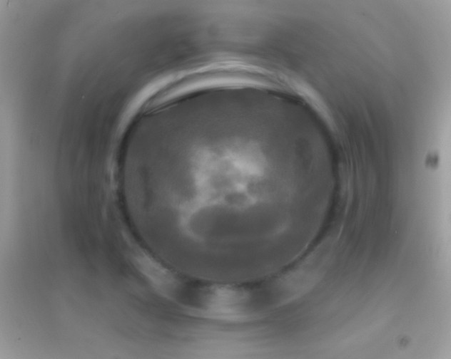 X0000095111318200712071208