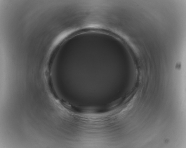 X0000095111319200712071208