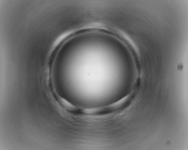 X0000095111320200712071208