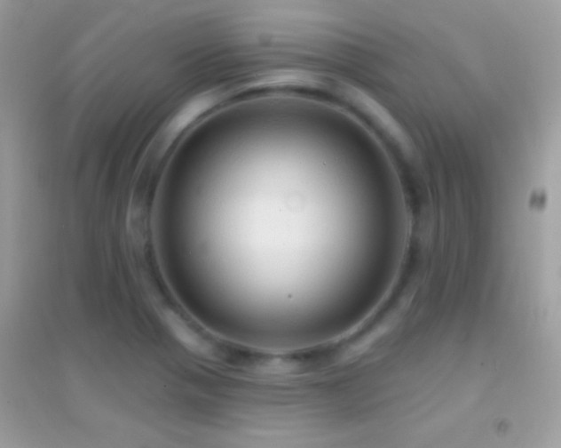 X0000095111321200712071208
