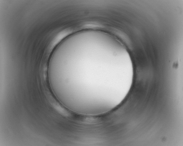 X0000095111322200712071208