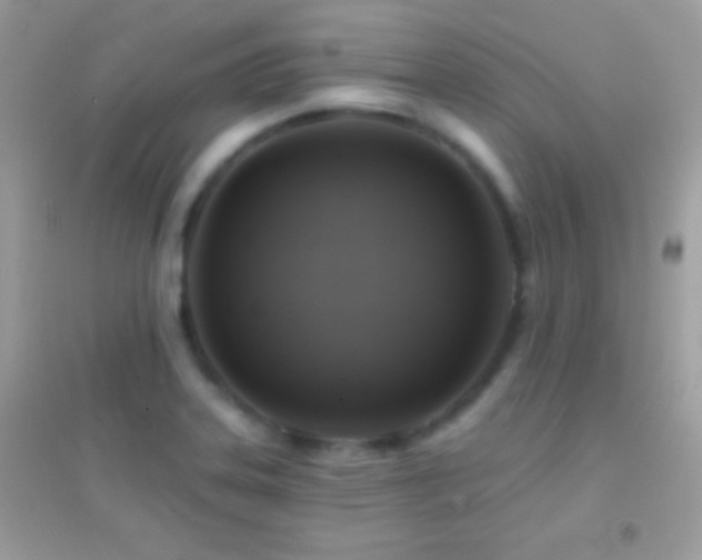 X0000095111323200712071208