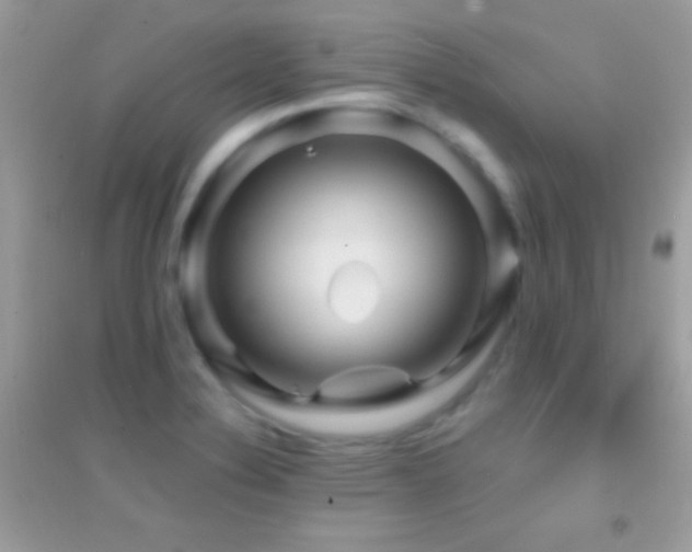 X0000095111324200712071208