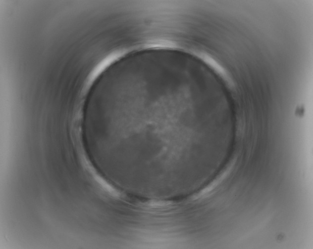 X0000095111325200712071208