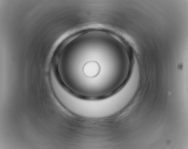 X0000095111326200712071208