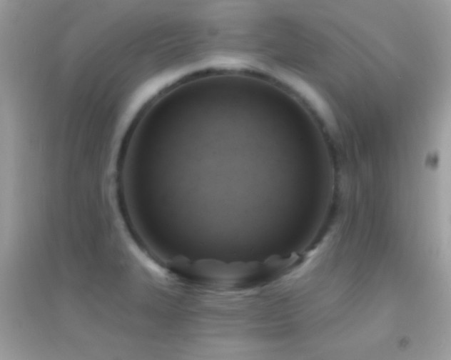 X0000095111327200712071208