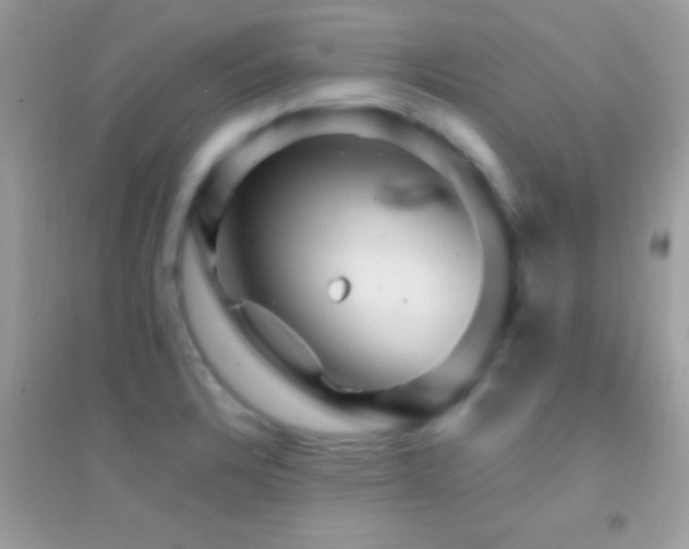 X0000095111328200712071208