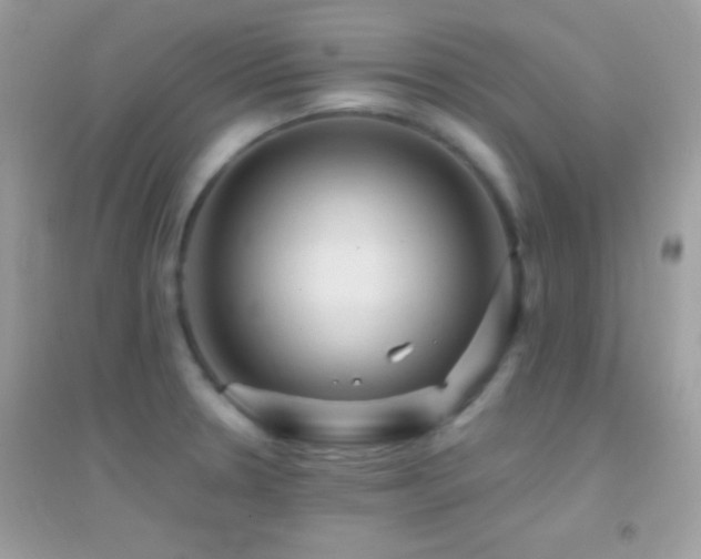 X0000095111330200712071208