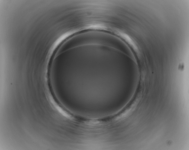 X0000095111331200712071208