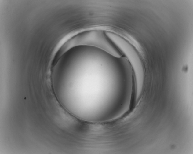 X0000095111332200712071208