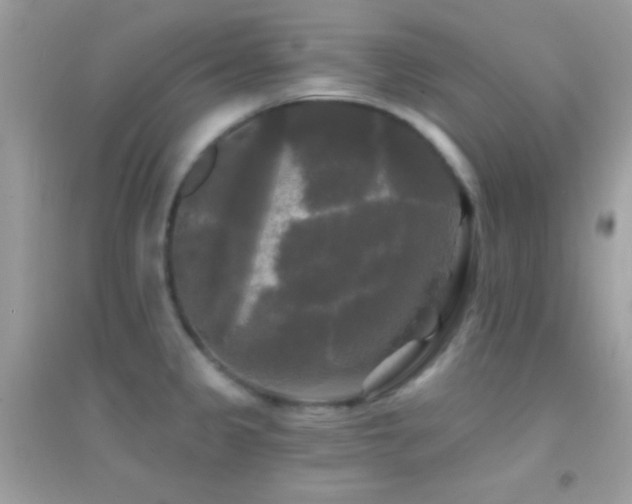 X0000095111333200712071208