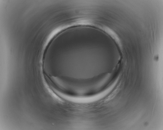 X0000095111334200712071208