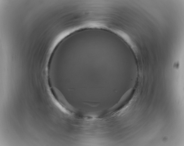 X0000095111335200712071208