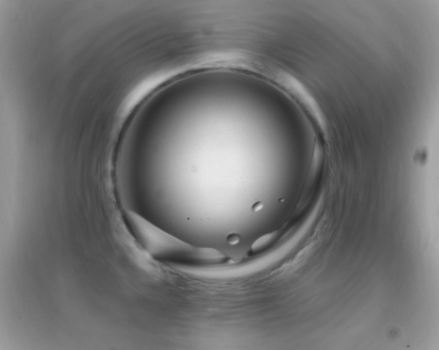 X0000095111336200712071208