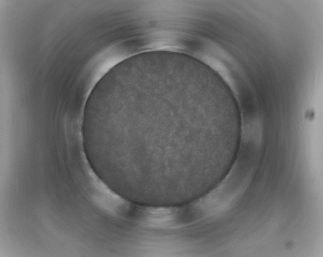 X0000095111338200712071208