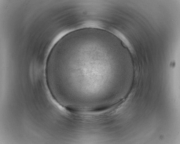 X0000095111339200712071208