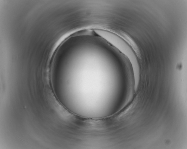 X0000095111340200712071208