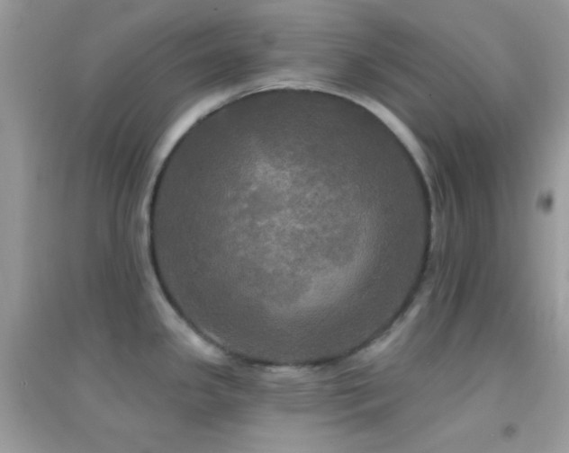 X0000095111341200712071208