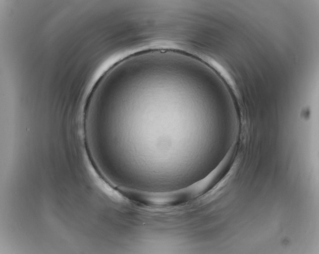 X0000095111342200712071208
