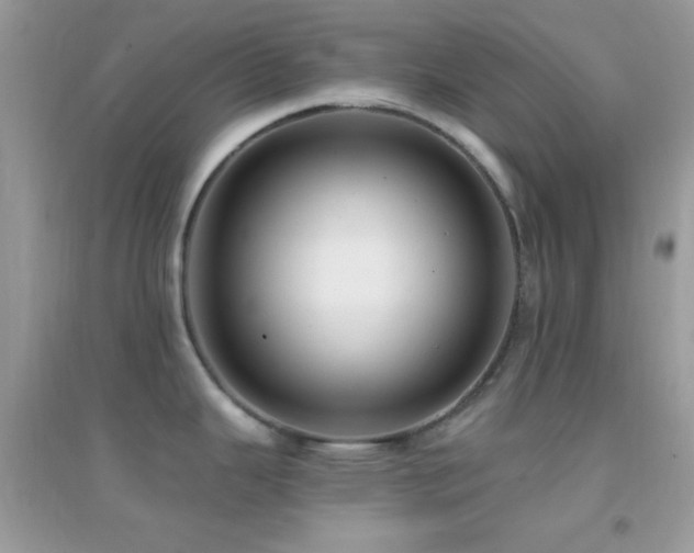 X0000095111343200712071208