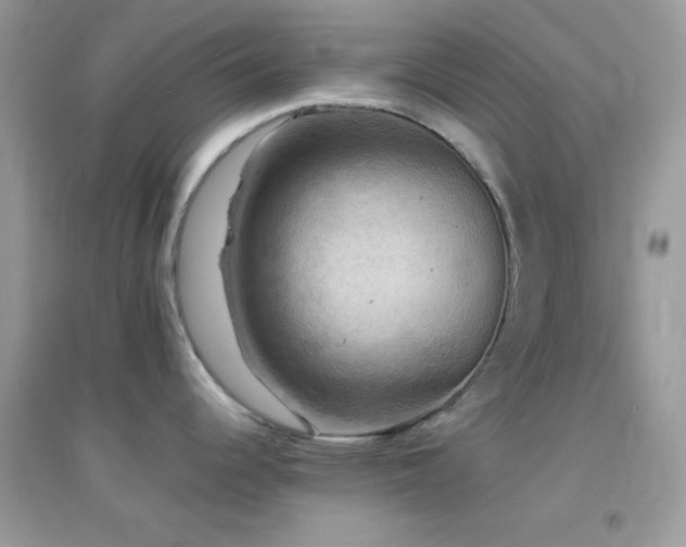 X0000095111344200712071208