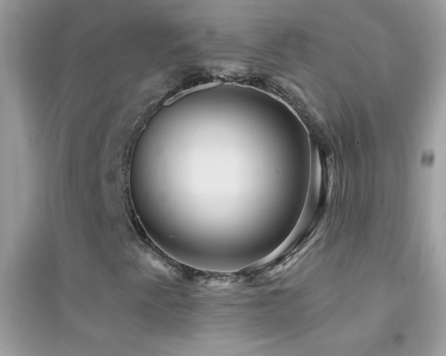X0000095111345200712071207