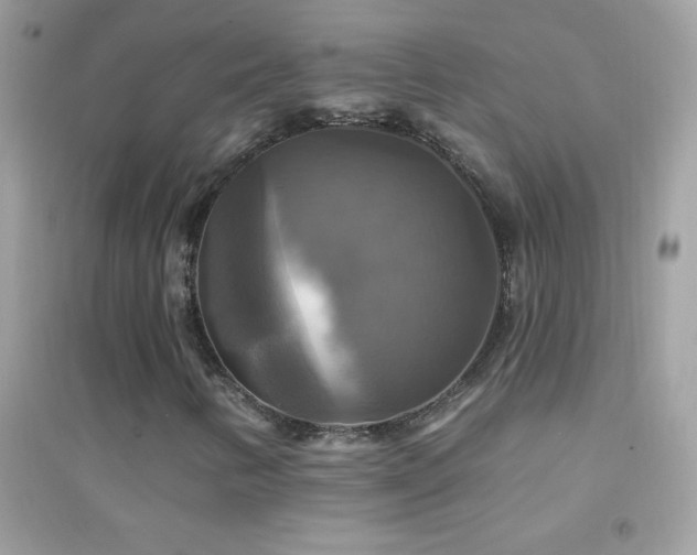 X0000095111346200712071207