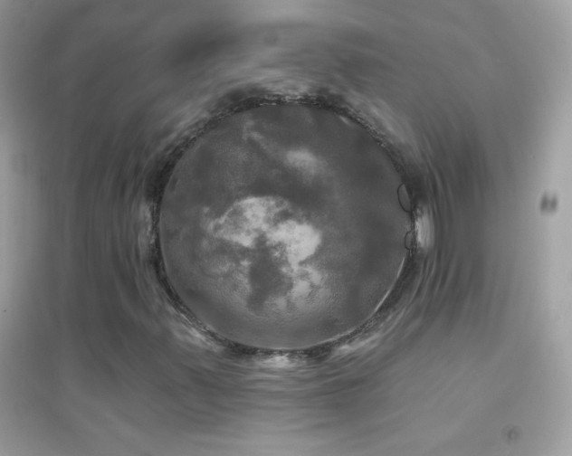 X0000095111347200712071207