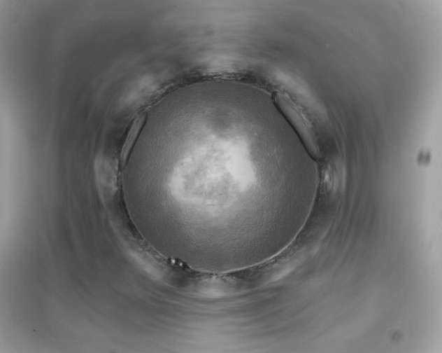 X0000095111348200712071207